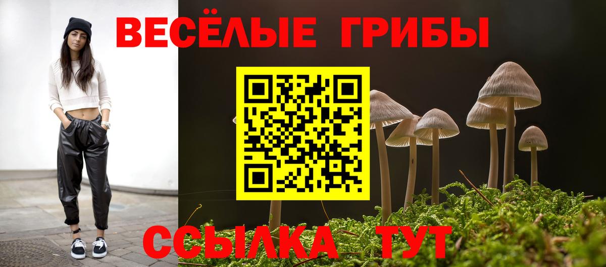 Галлюциногенные грибы GOLDEN TEACHER Новотроицк
